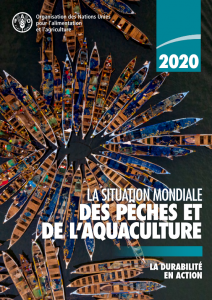 La situation mondiale des pêches et de l’aquaculture