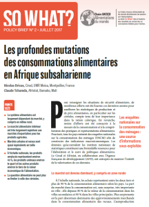 N° 2/ Les profondes mutations des consommations alimentaires en Afrique subsaharienne  