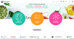 Food Systems Dashboard / Food Systems Types