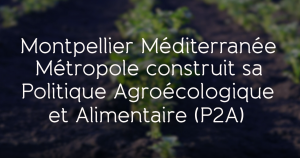  P2A, politique agroécologique et alimentaire de Montpellier