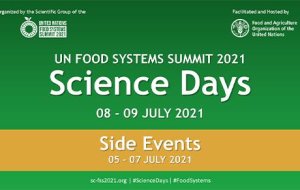 illustrtation article : Conference - Priorities for inclusive urban food transformations in the global South