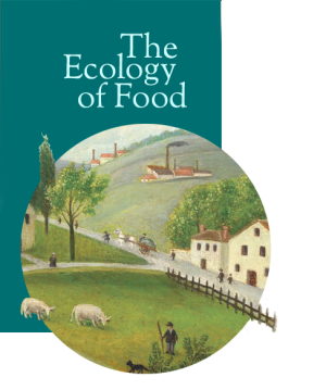 illustrtation article : The limits of industrialized food systems