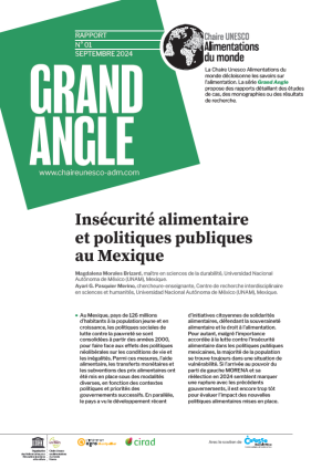 illustration So what : Insécurité alimentaire et politiques publiques au Mexique