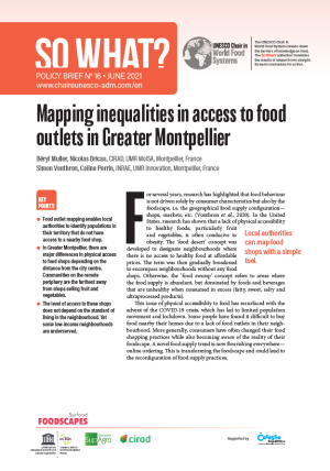 illustration So what : Mapping inequalities in access to food outlets in Greater Montpellier