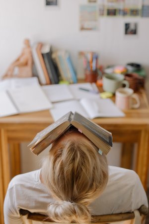 illustrtation article : Prix doctoral 2022