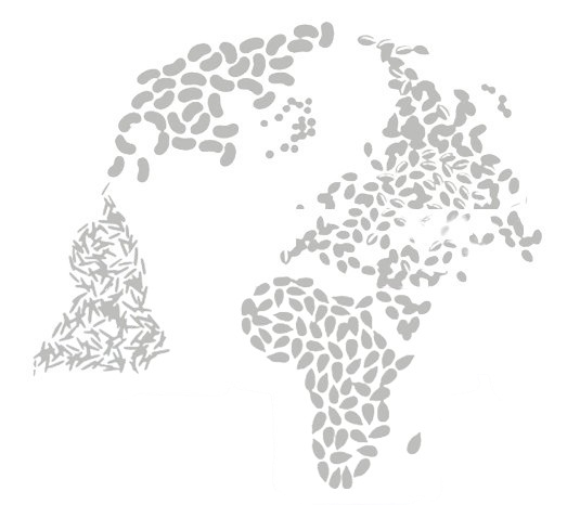 Carte de l'Afrique